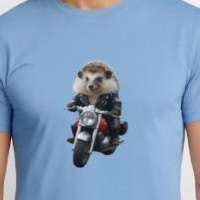 t-shirt hérisson motard animaux mignons